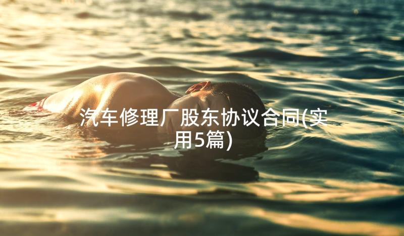 汽车修理厂股东协议合同(实用5篇)