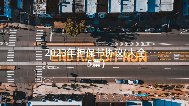 2023年担保书协议(大全5篇)