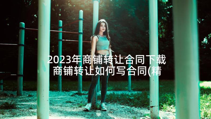 2023年商铺转让合同下载 商铺转让如何写合同(精选6篇)