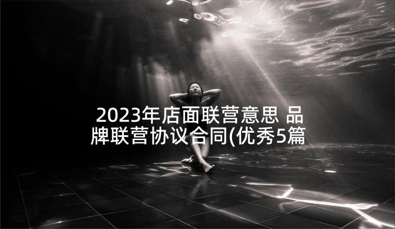 2023年店面联营意思 品牌联营协议合同(优秀5篇)