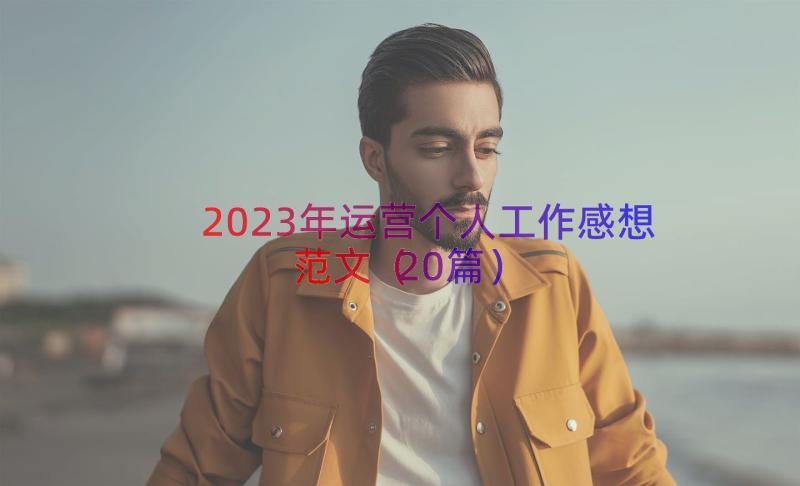 2023年运营个人工作感想范文（20篇）