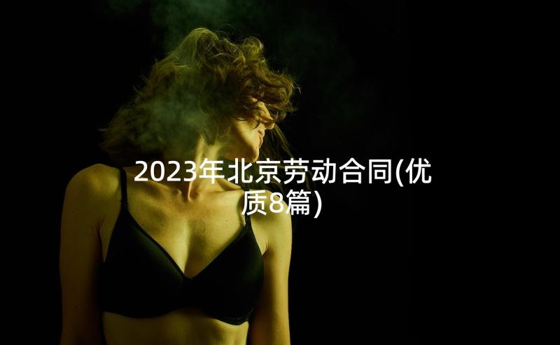 2023年北京劳动合同(优质8篇)