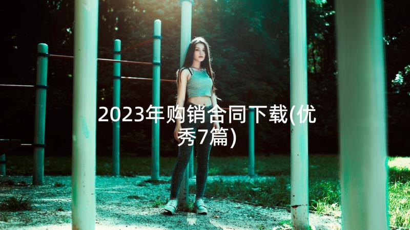 2023年购销合同下载(优秀7篇)