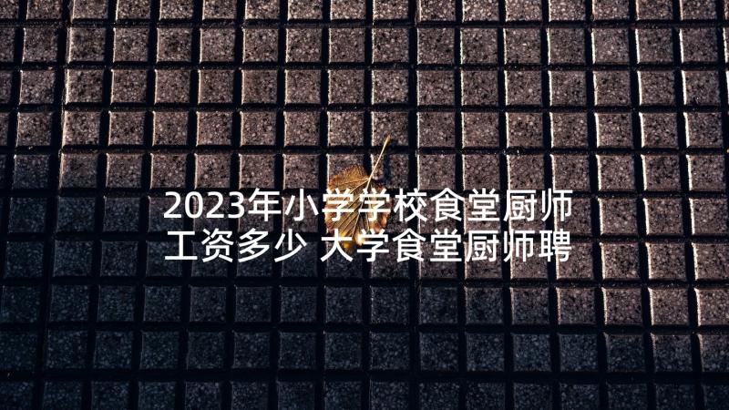 2023年小学学校食堂厨师工资多少 大学食堂厨师聘用合同共(模板5篇)