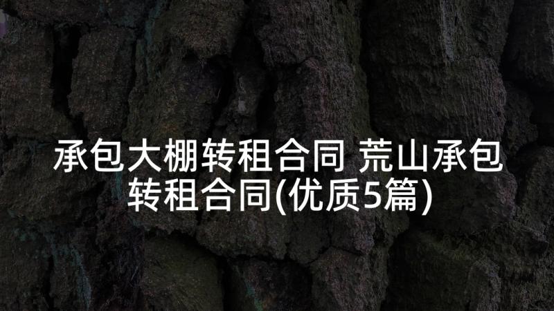 承包大棚转租合同 荒山承包转租合同(优质5篇)