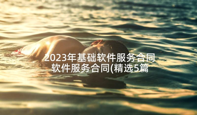 2023年基础软件服务合同 软件服务合同(精选5篇)