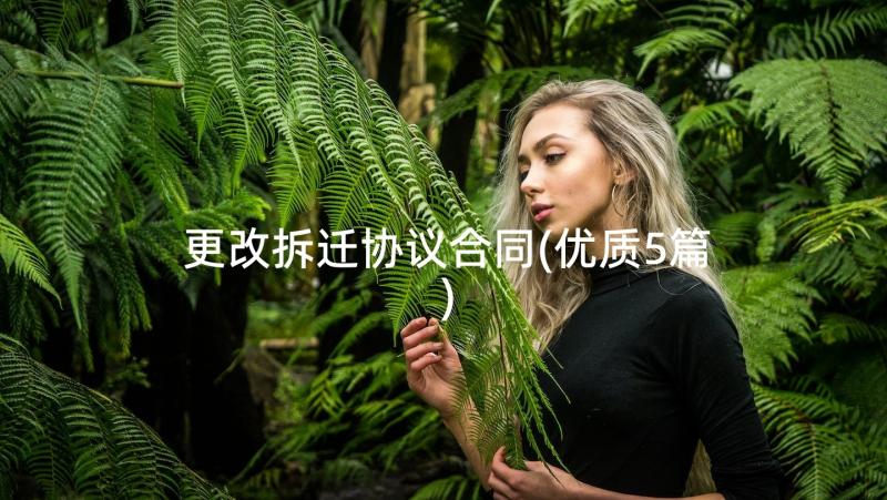 更改拆迁协议合同(优质5篇)