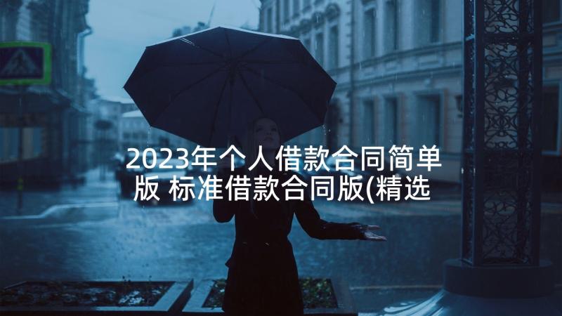 2023年个人借款合同简单版 标准借款合同版(精选5篇)