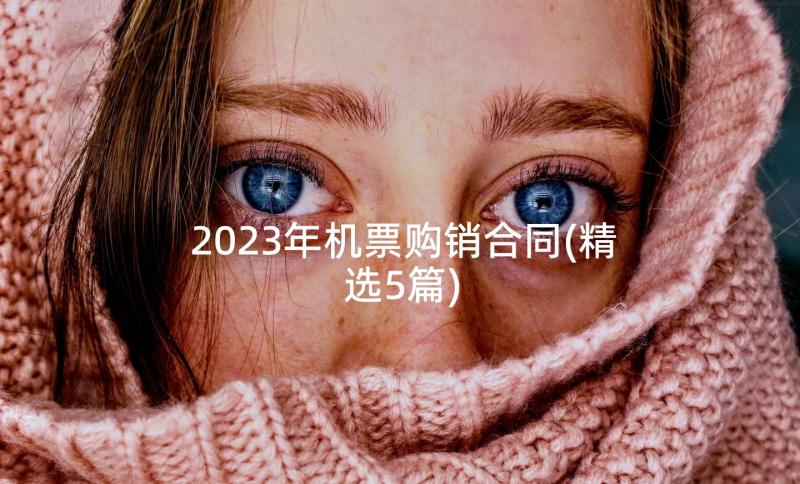 2023年机票购销合同(精选5篇)