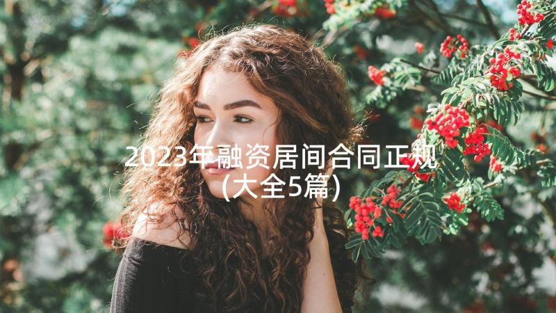 2023年融资居间合同正规(大全5篇)