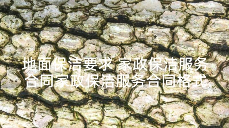 地面保洁要求 家政保洁服务合同家政保洁服务合同格式(通用9篇)