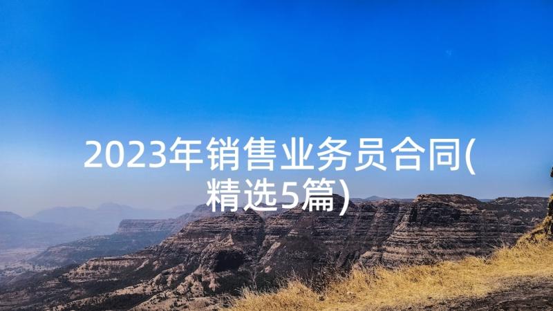 2023年销售业务员合同(精选5篇)