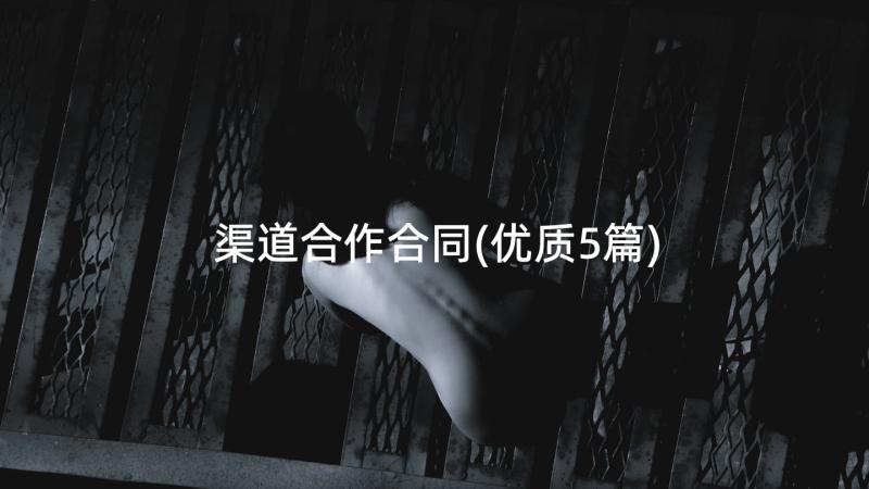 渠道合作合同(优质5篇)