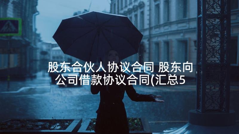 股东合伙人协议合同 股东向公司借款协议合同(汇总5篇)