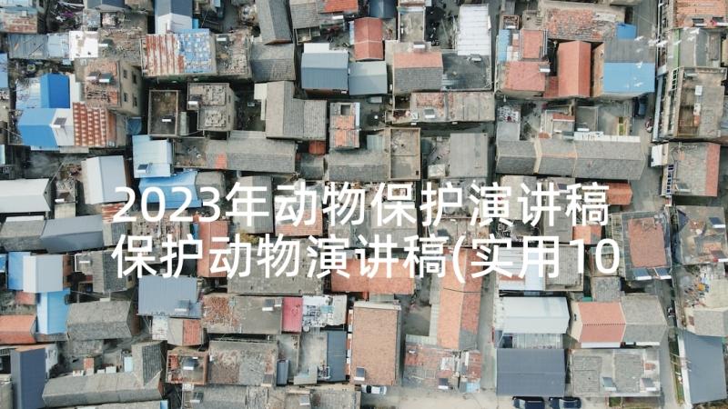 2023年动物保护演讲稿 保护动物演讲稿(实用10篇)