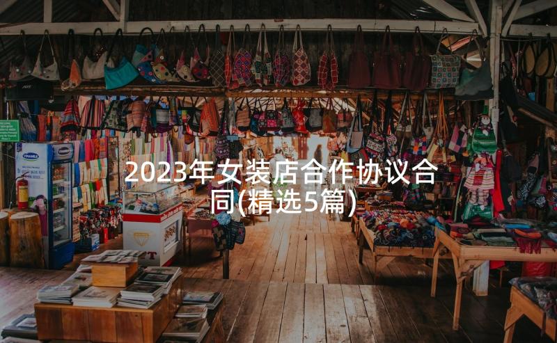 2023年女装店合作协议合同(精选5篇)