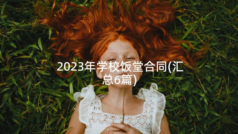 2023年学校饭堂合同(汇总6篇)