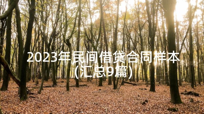 2023年民间借贷合同样本(汇总9篇)