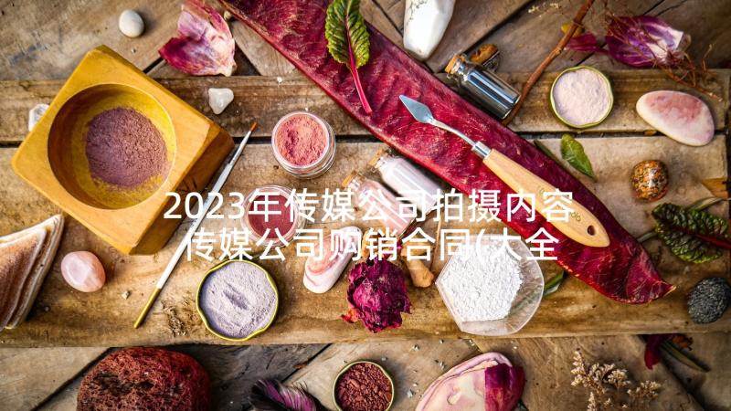 2023年传媒公司拍摄内容 传媒公司购销合同(大全5篇)