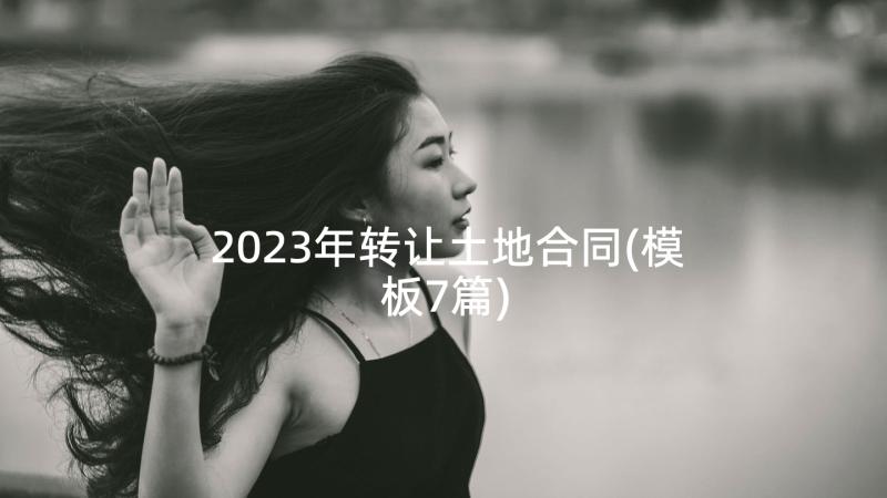 2023年转让土地合同(模板7篇)