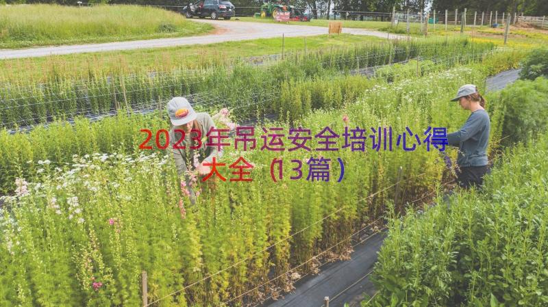 2023年吊运安全培训心得大全（13篇）