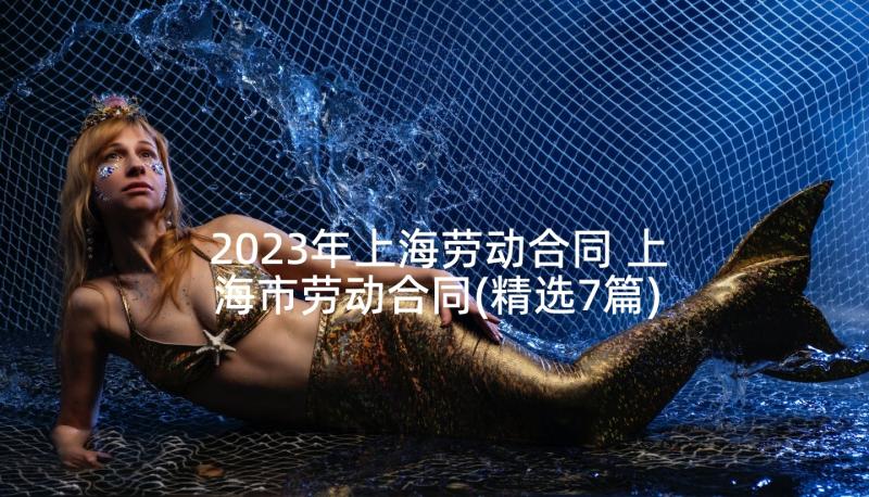 2023年上海劳动合同 上海市劳动合同(精选7篇)