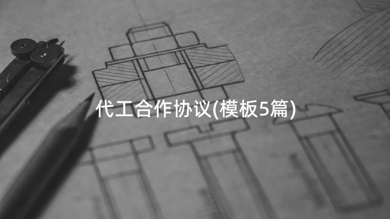 代工合作协议(模板5篇)