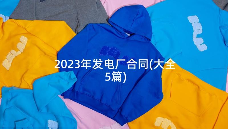 2023年发电厂合同(大全5篇)