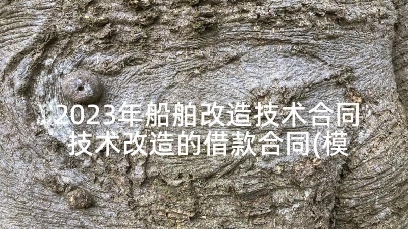 2023年船舶改造技术合同 技术改造的借款合同(模板5篇)