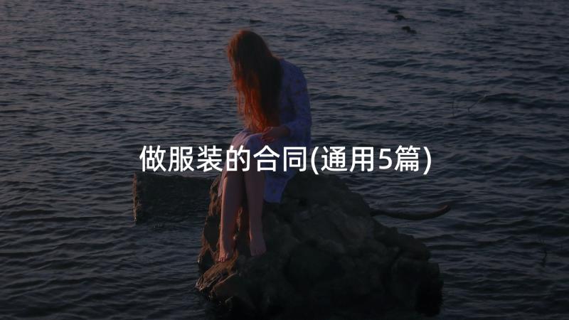 做服装的合同(通用5篇)