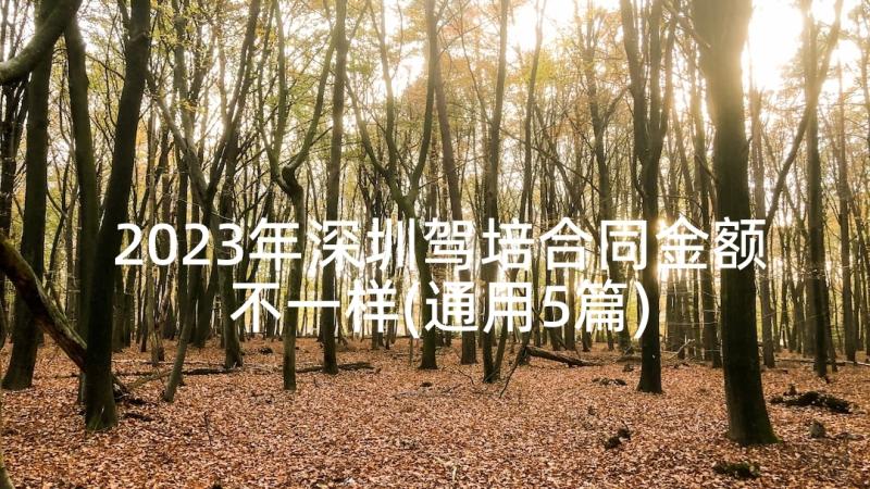 2023年深圳驾培合同金额不一样(通用5篇)