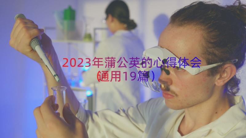 2023年蒲公英的心得体会（通用19篇）