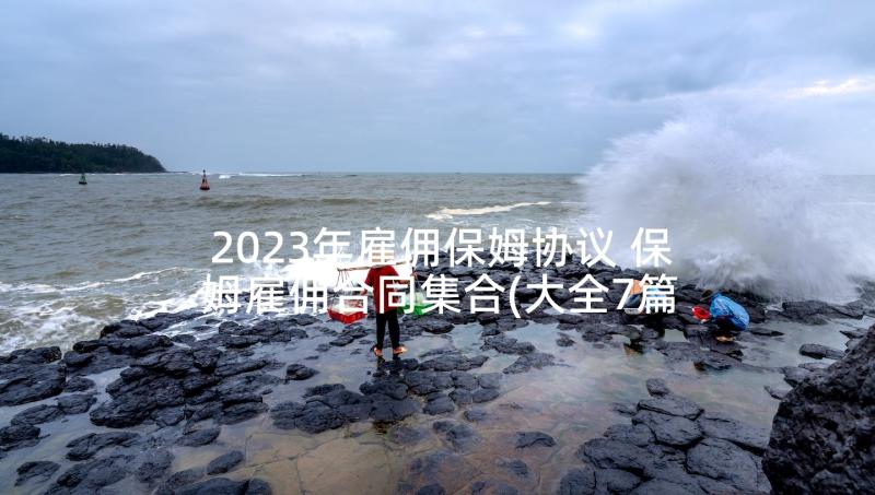 2023年雇佣保姆协议 保姆雇佣合同集合(大全7篇)