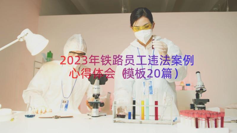 2023年铁路员工违法案例心得体会（模板20篇）