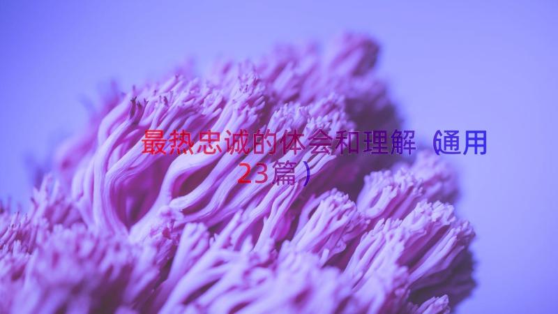 最热忠诚的体会和理解（通用23篇）