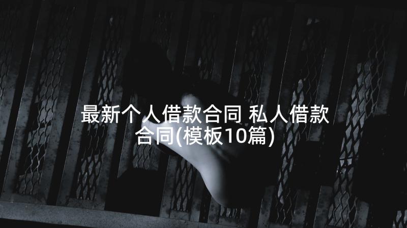 最新个人借款合同 私人借款合同(模板10篇)