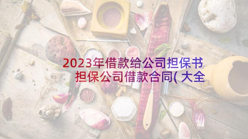 2023年借款给公司担保书 担保公司借款合同(大全7篇)