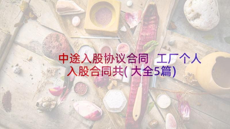 中途入股协议合同 工厂个人入股合同共(大全5篇)