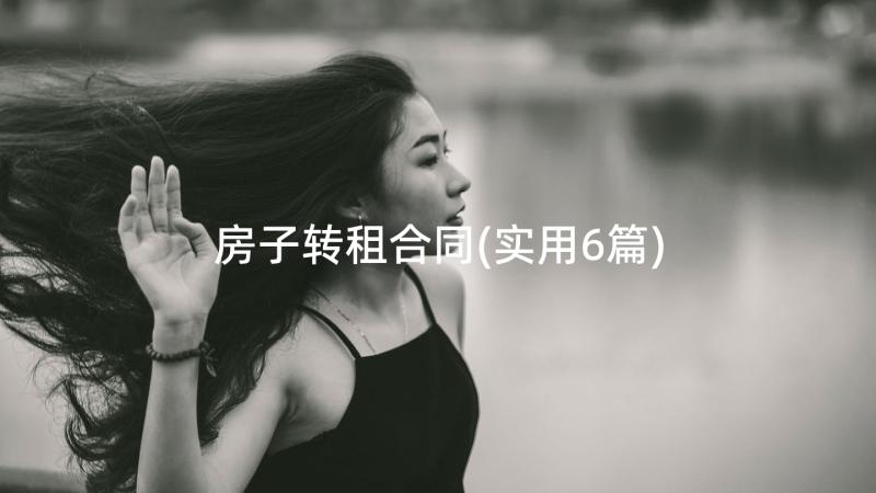 房子转租合同(实用6篇)