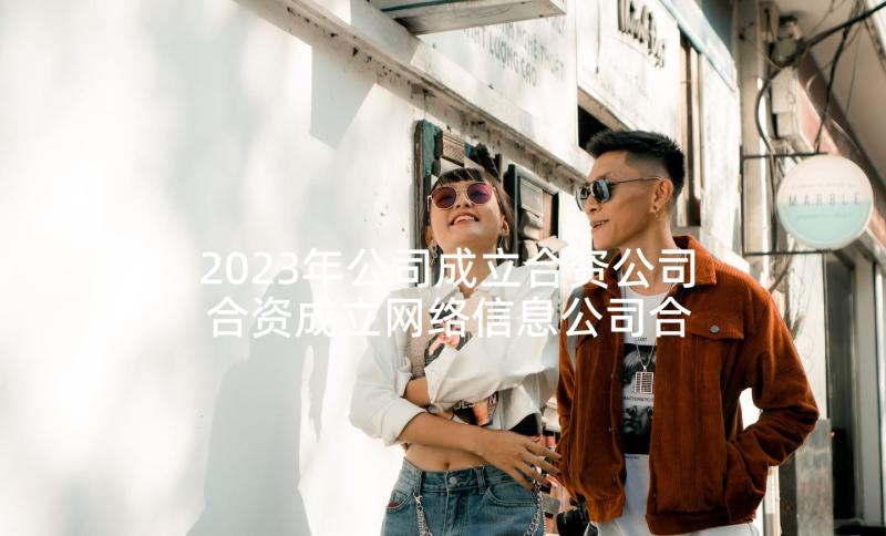 2023年公司成立合资公司 合资成立网络信息公司合同(汇总5篇)