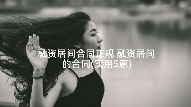 融资居间合同正规 融资居间的合同(实用5篇)