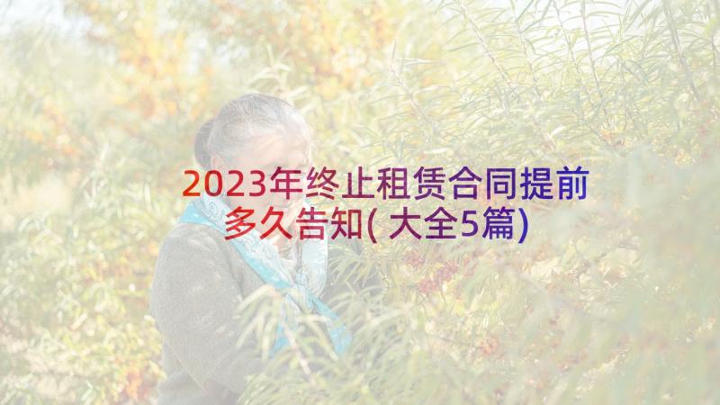 2023年终止租赁合同提前多久告知(大全5篇)