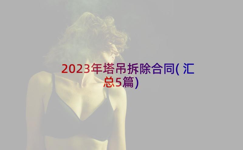 2023年塔吊拆除合同(汇总5篇)