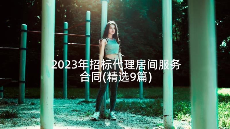 2023年招标代理居间服务合同(精选9篇)