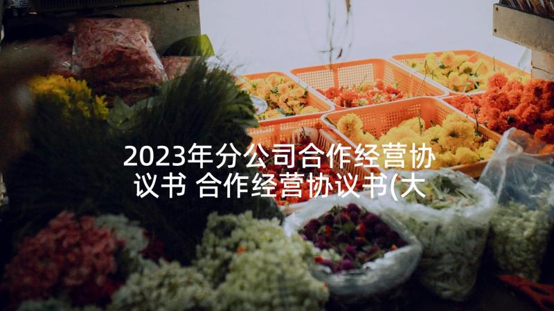 2023年分公司合作经营协议书 合作经营协议书(大全5篇)