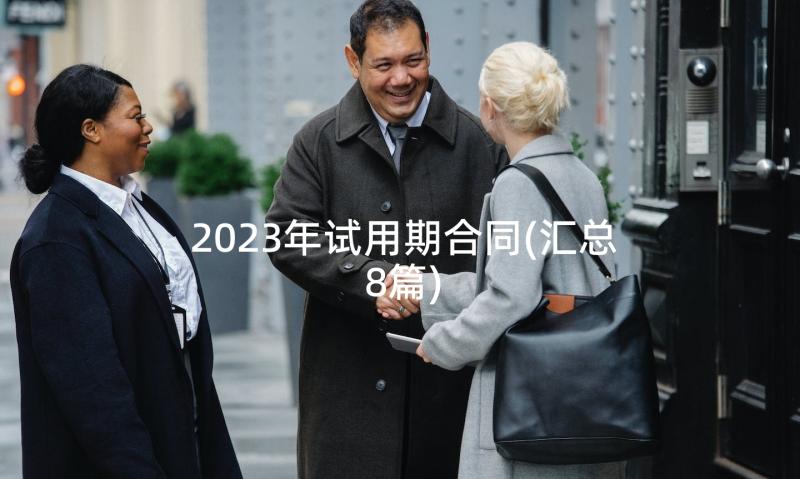 2023年试用期合同(汇总8篇)