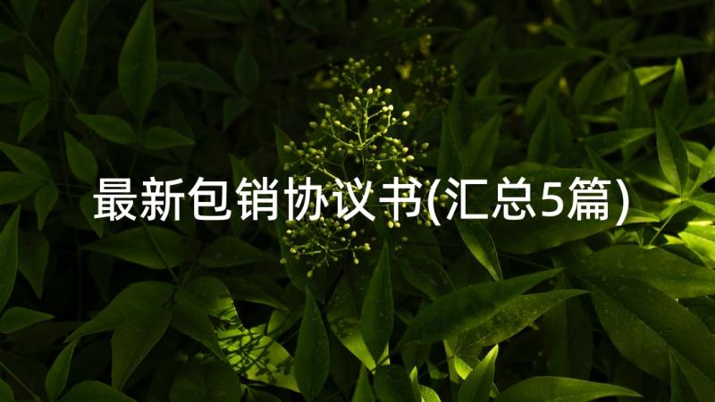 最新包销协议书(汇总5篇)