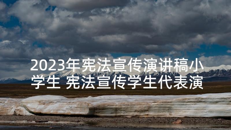 2023年宪法宣传演讲稿小学生 宪法宣传学生代表演讲稿(模板5篇)