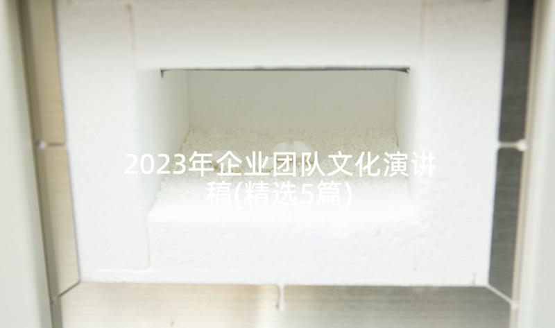 2023年企业团队文化演讲稿(精选5篇)