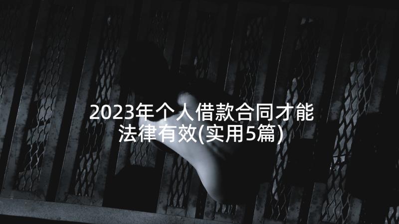 2023年个人借款合同才能法律有效(实用5篇)